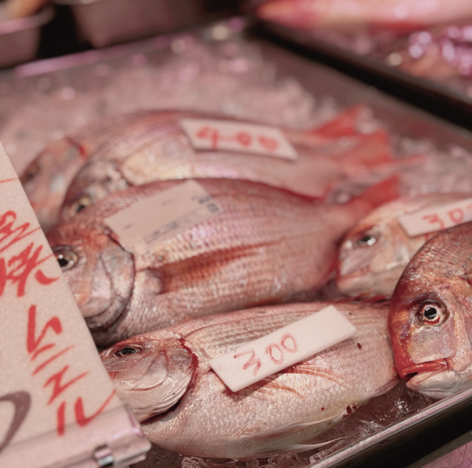 バットの中に氷とたくさんの魚が置いてある